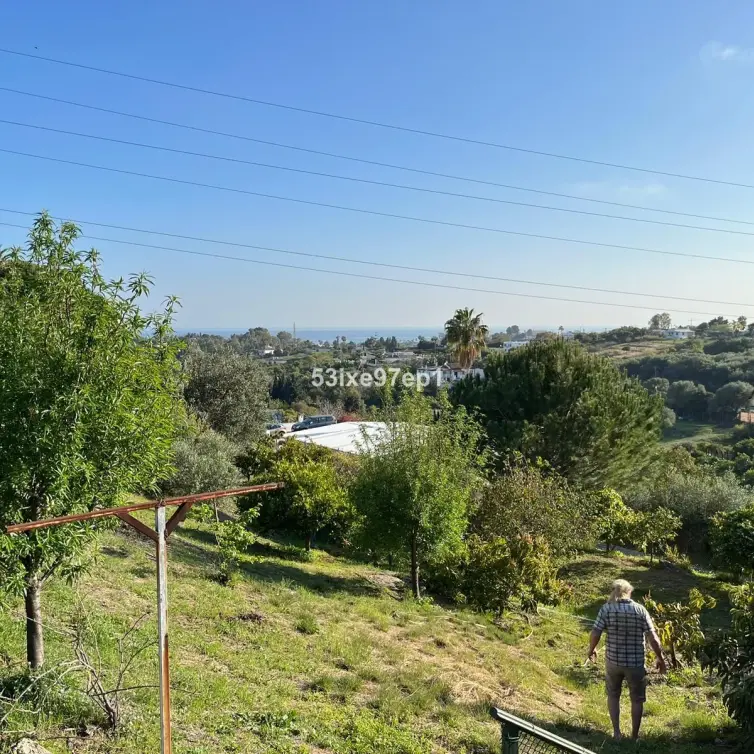 Sale of finca - cortijo in Estepona