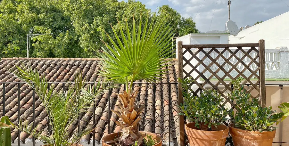 Sale of penthouse in Marbella 31