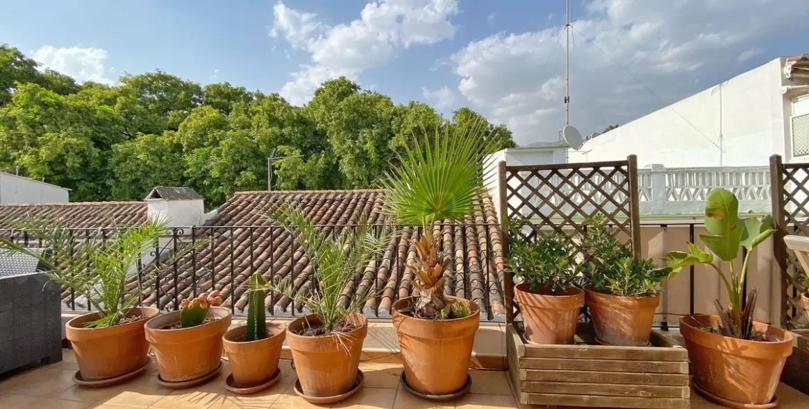 Sale of penthouse in Marbella 32