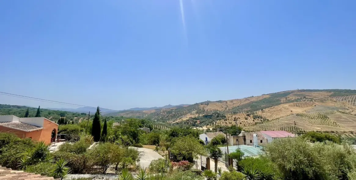 Sale of detached villa in Periana 4