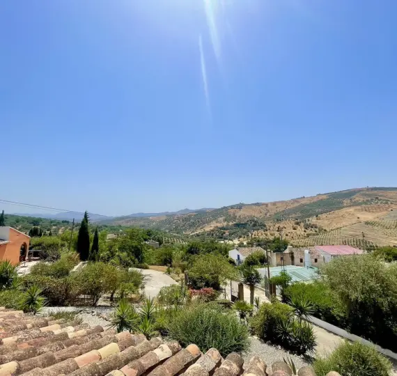 Sale of detached villa in Periana