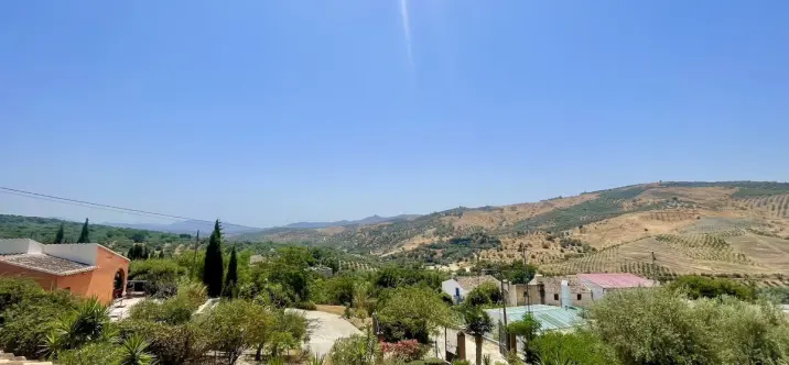 Sale of detached villa in Periana 3