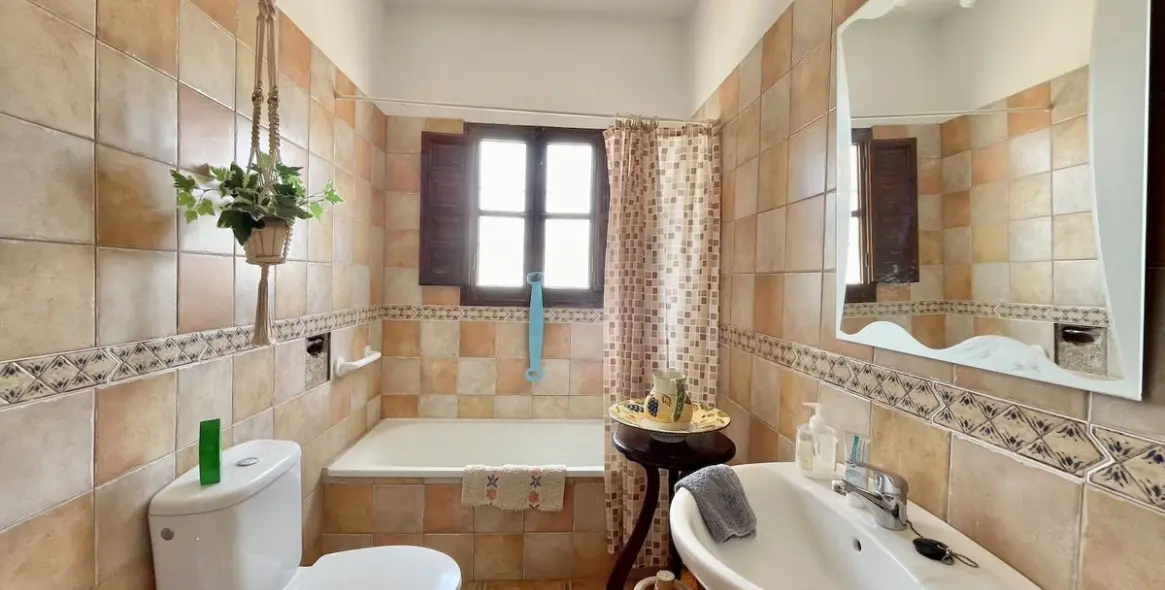 Sale of detached villa in Periana 19