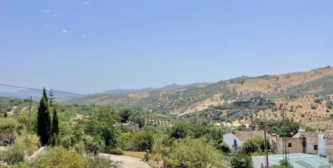 Sale of detached villa in Periana 30