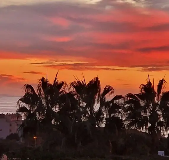 Sale of ground floor apartment in Reserva de Marbella