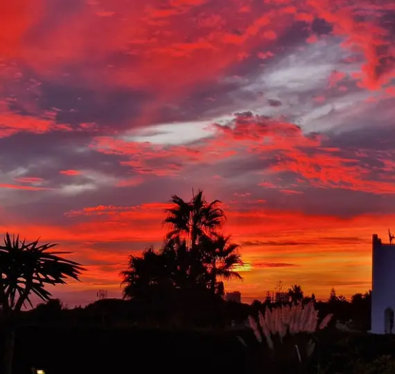 Sale of ground floor apartment in Reserva de Marbella