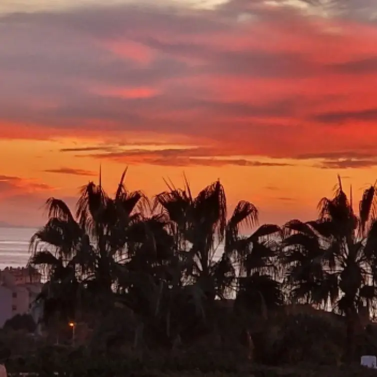 Sale of ground floor apartment in Reserva de Marbella