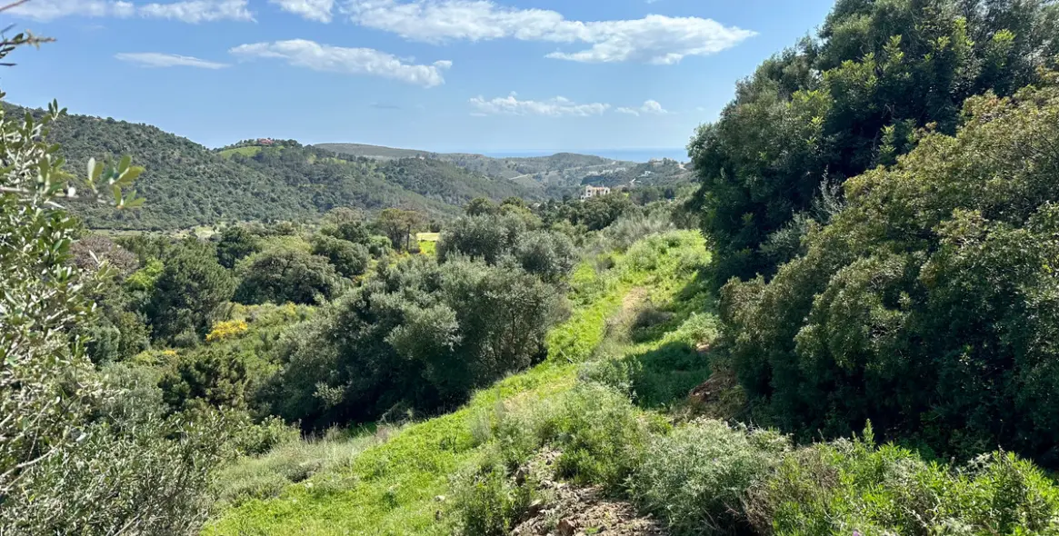 Продажа  жилого участка в Montemayor-Marbella Club 8