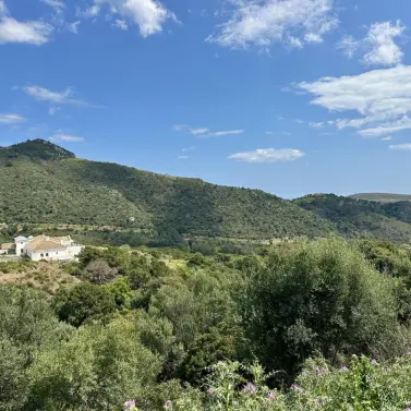 Sale of residential plot in Montemayor-Marbella Club