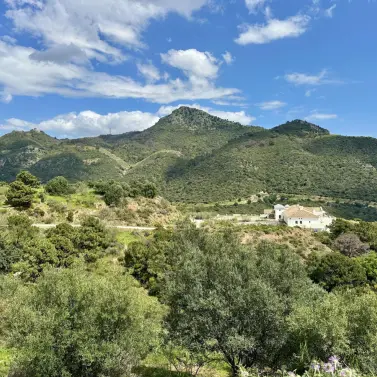 Sale of residential plot in Montemayor-Marbella Club
