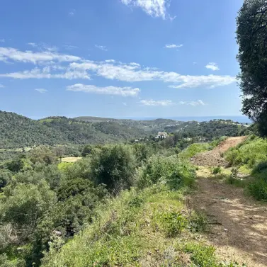 Sale of residential plot in Montemayor-Marbella Club