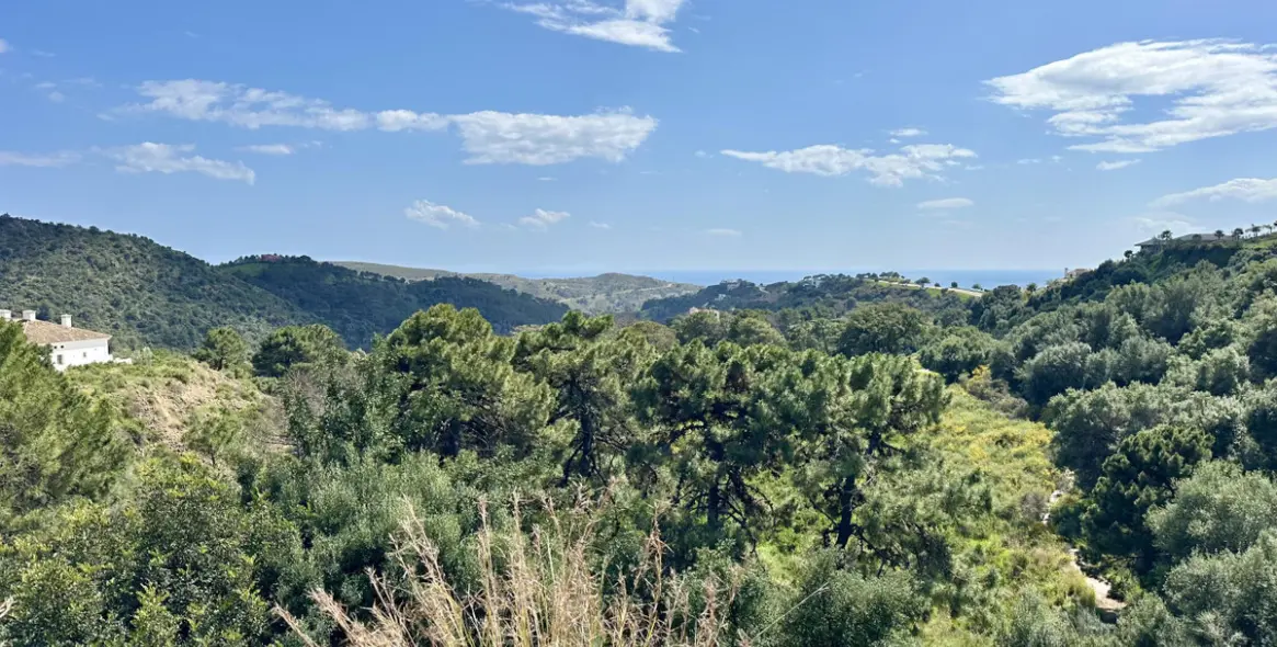 Sale of residential plot in Montemayor-Marbella Club 20