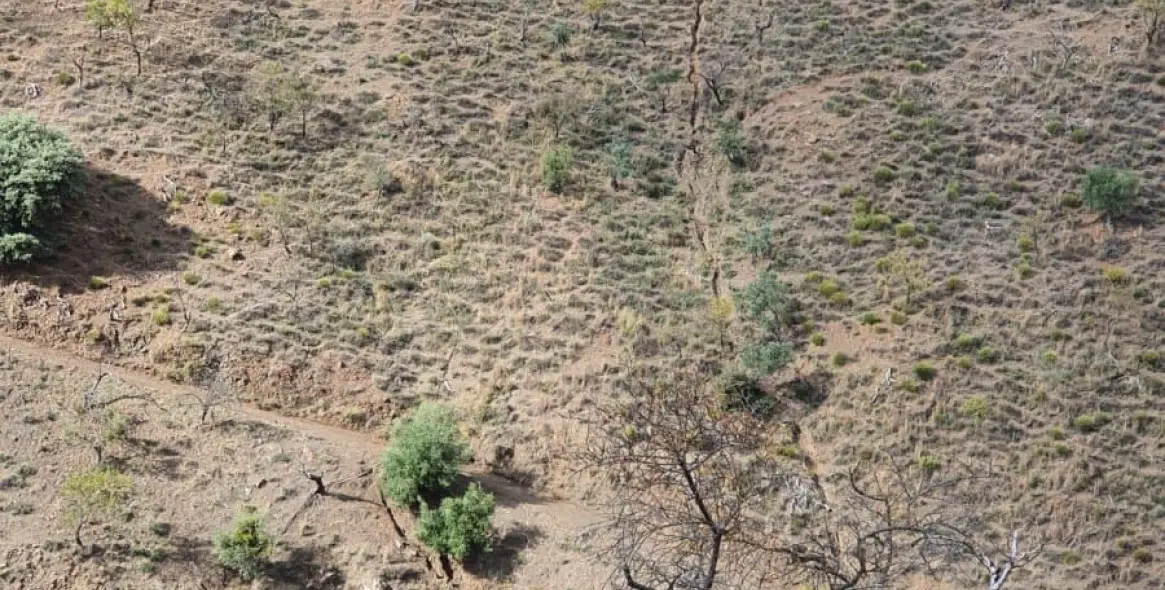 Sale of finca - cortijo in Guaro 5