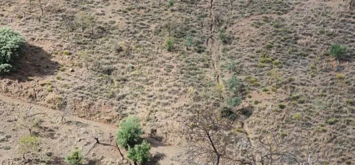 Sale of finca - cortijo in Guaro 4