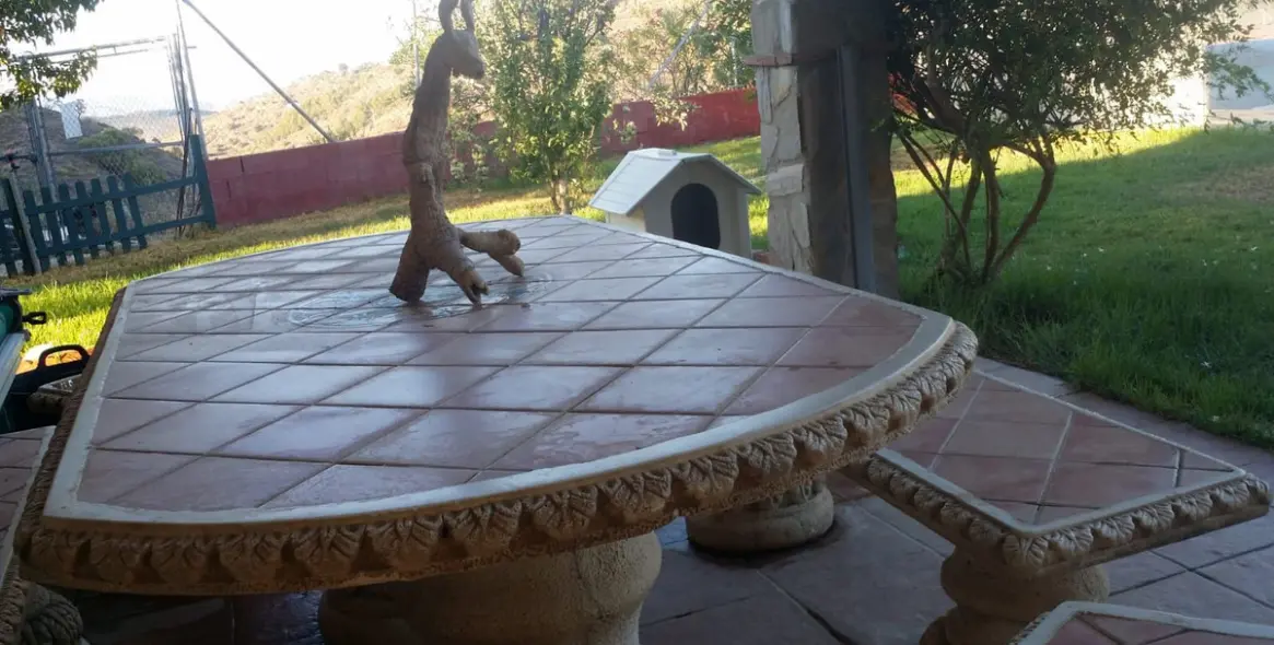 Sale of finca - cortijo in Guaro 7