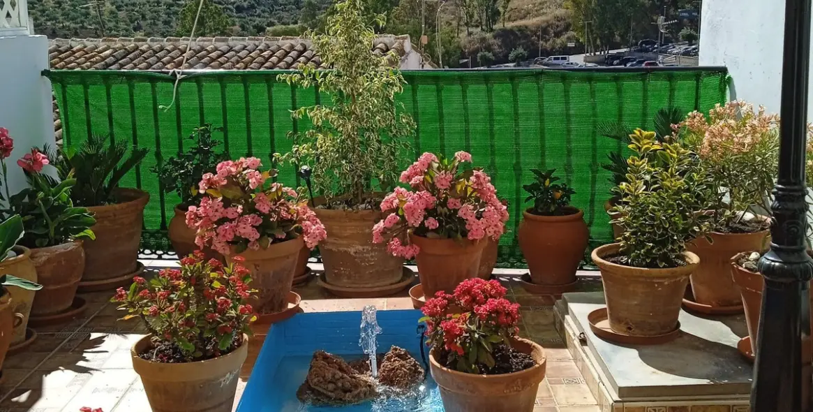 Sale of townhouse in Alora 2