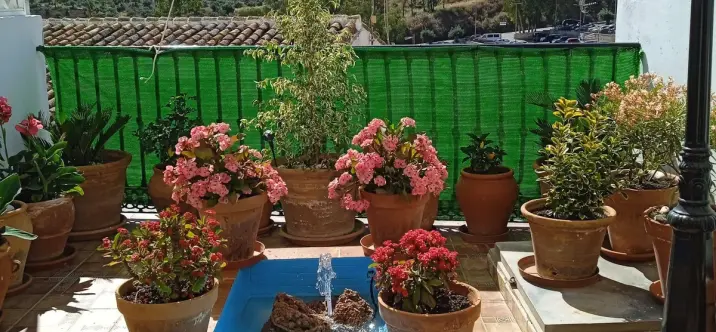 Sale of townhouse in Alora 1