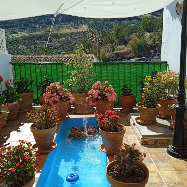 Sale of townhouse in Alora