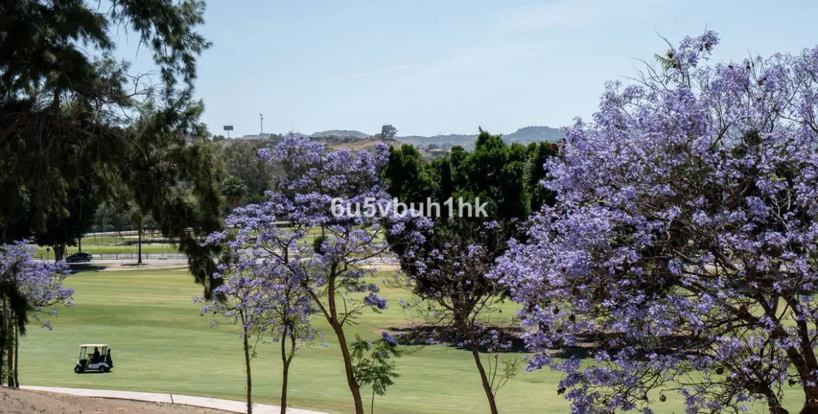 Продажа таунхауса в Mijas 25