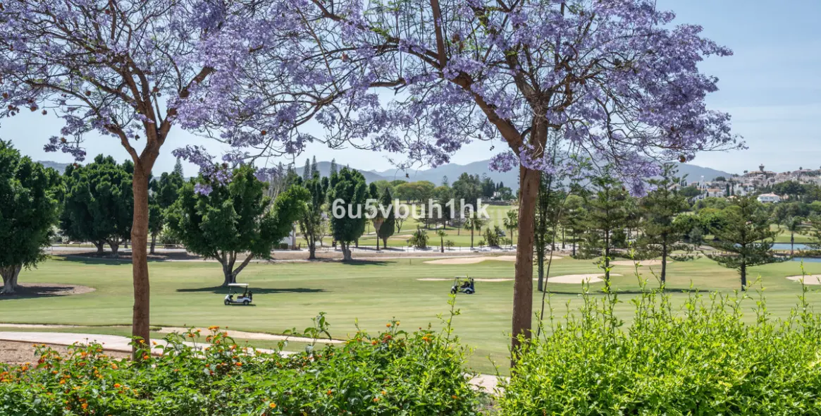 Продажа таунхауса в Mijas 26