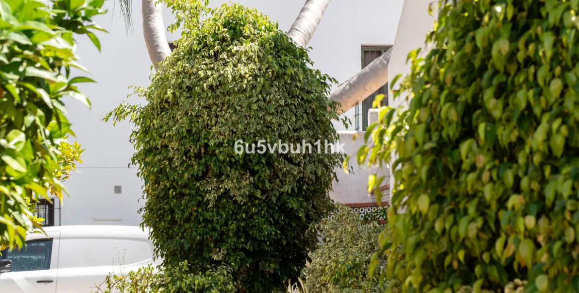 Продажа таунхауса в Mijas 32