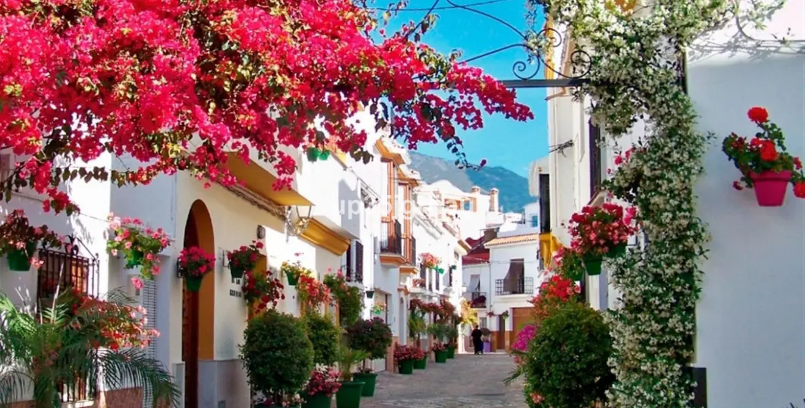 Sale of penthouse in Estepona 1