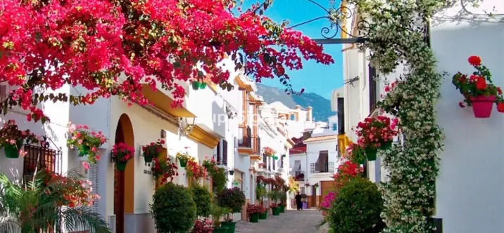 Penthouse R5171008 0