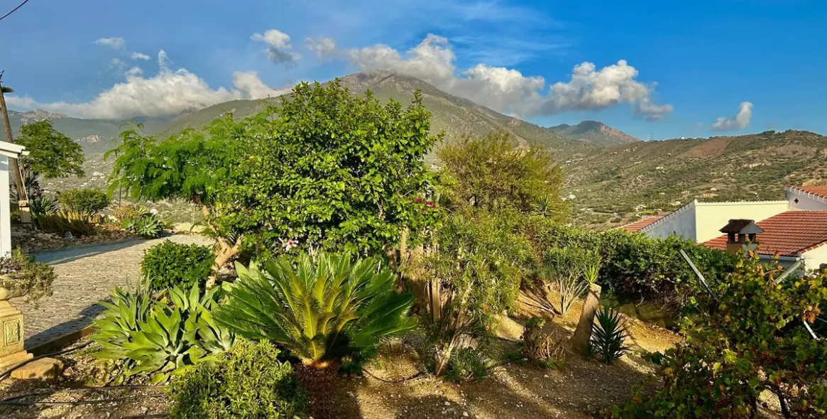 Sale of detached villa in Alcaucín 13