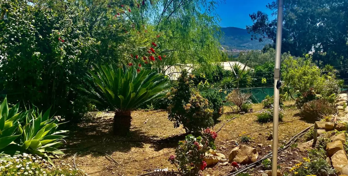 Sale of detached villa in Alcaucín 14