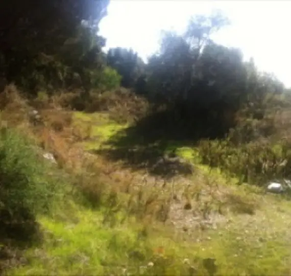 Продажа  жилого участка в Elviria