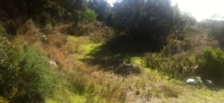 Продажа  жилого участка в Elviria 1