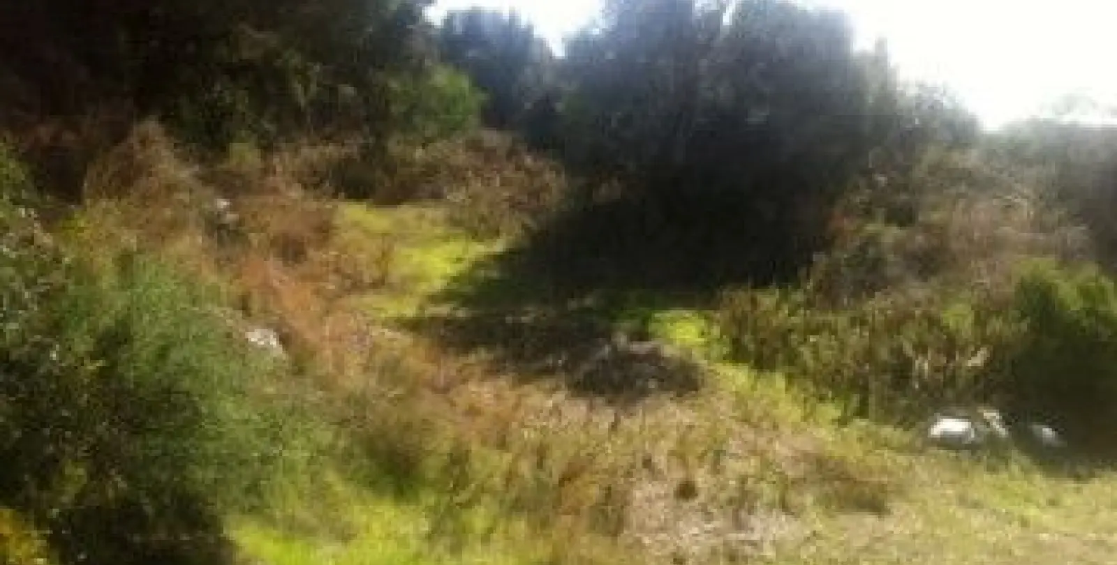 Sale of residential plot in Elviria 2