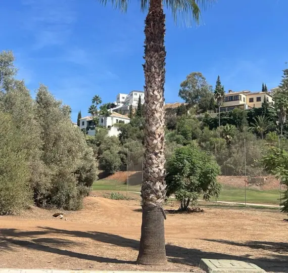 Продажа  жилого участка в Mijas Golf