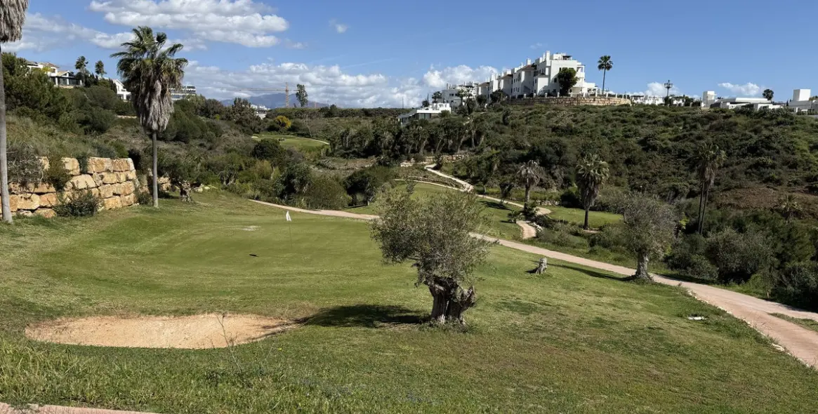 Продажа  жилого участка в Estepona (район Selwo) 5