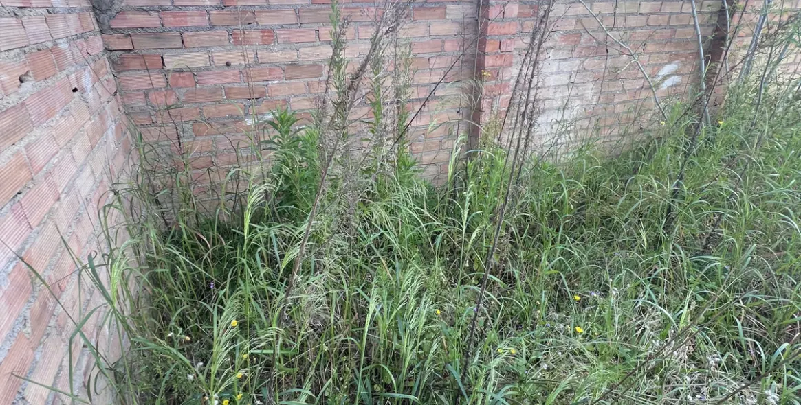 Продажа  жилого участка в Marbella 4