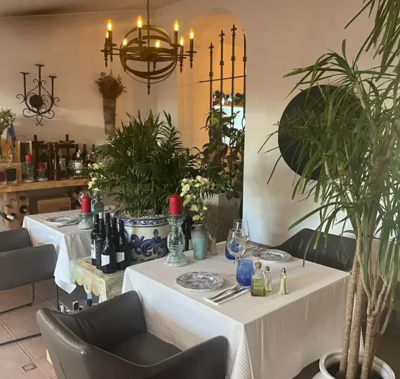 Продажа ресторана в Nueva Andalucía