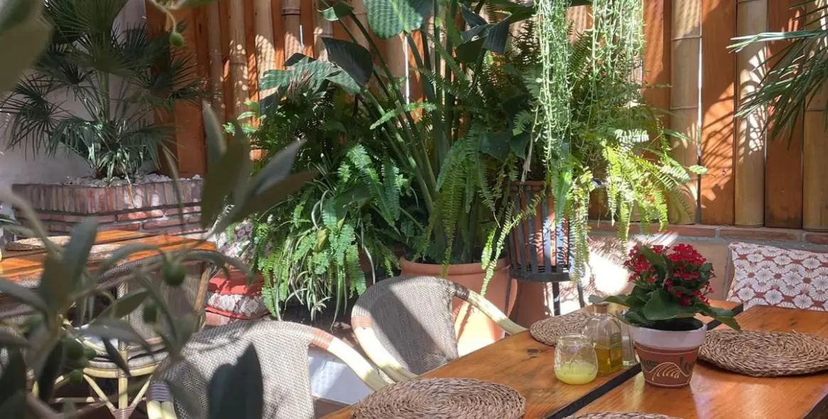 Продажа ресторана в Nueva Andalucía 5