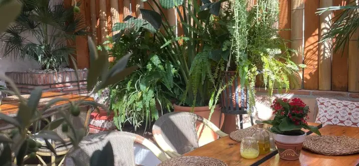 Продажа ресторана в Nueva Andalucía 4