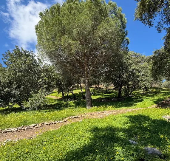 Venta de parcela residencial en Casares