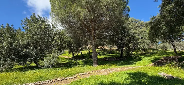 Venta de parcela residencial en Casares 0