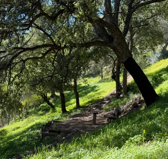 Venta de parcela residencial en Casares