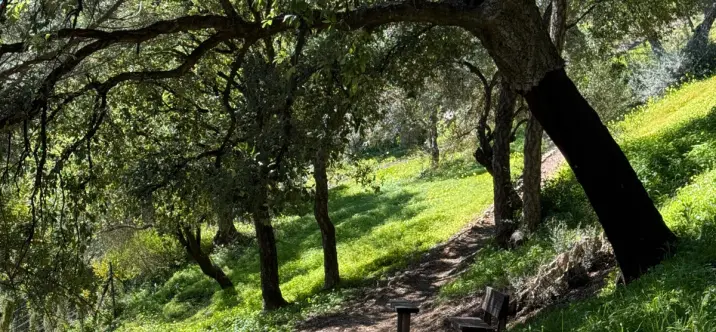 Venta de parcela residencial en Casares 4