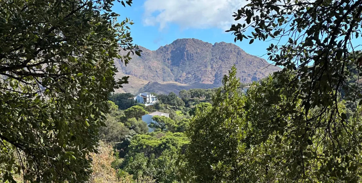 Sale of residential plot in Casares 6