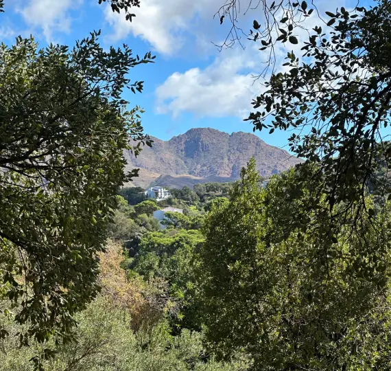 Venta de parcela residencial en Casares