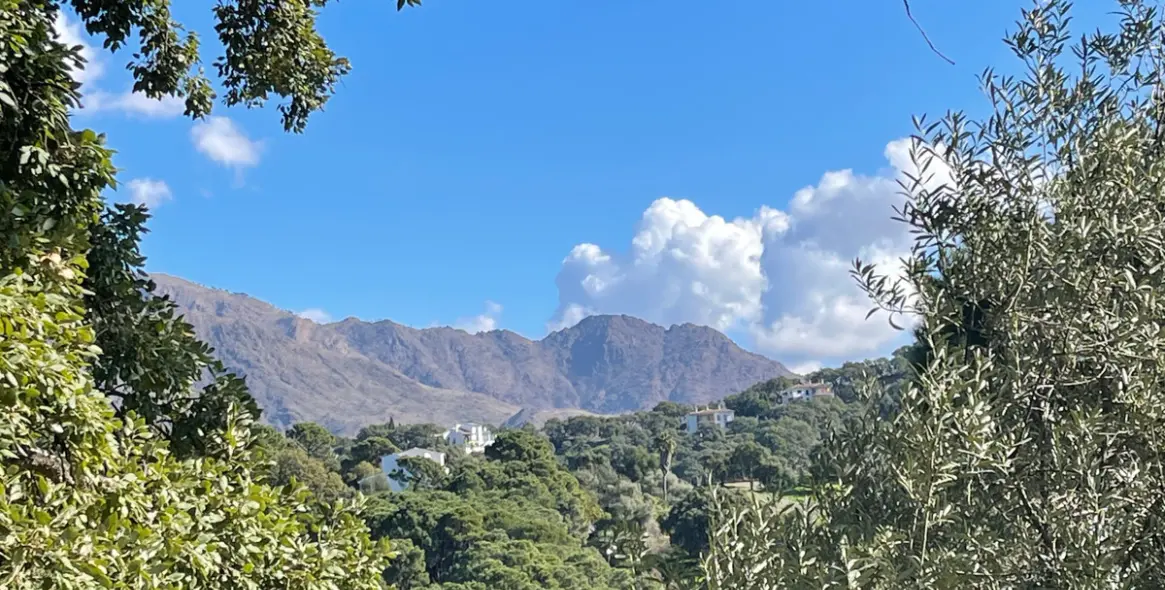 Sale of residential plot in Casares 8