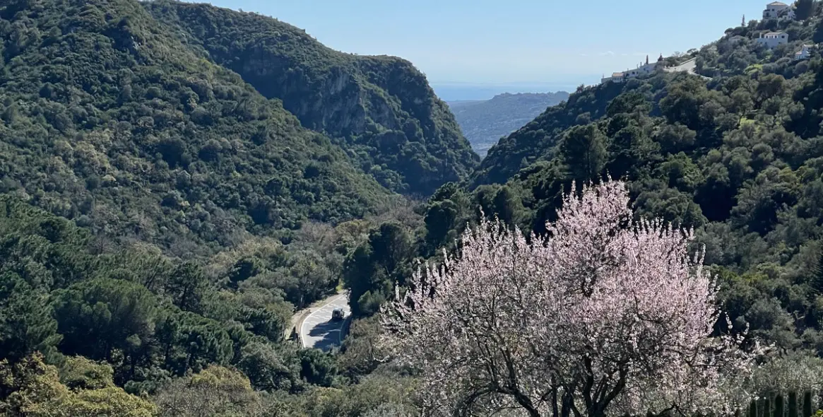 Sale of residential plot in Casares 10