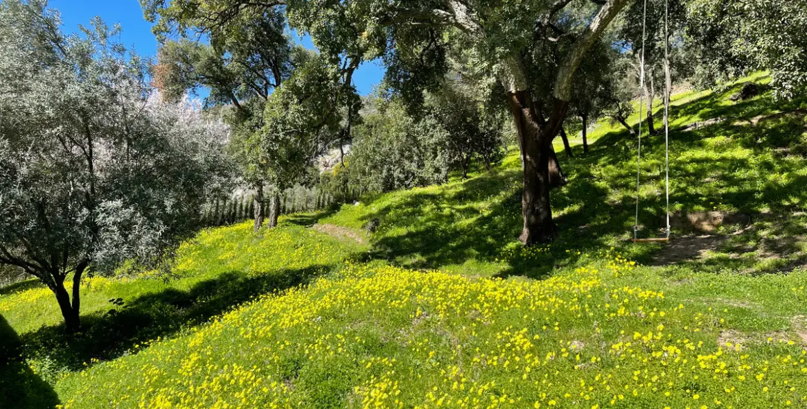 Sale of residential plot in Casares 13