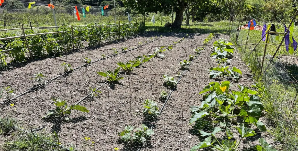 Sale of residential plot in Casares 19