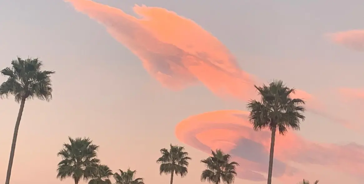 Sale of ground floor apartment in Selwo 22