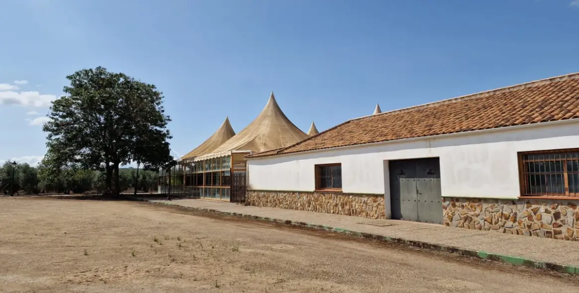 Sale of detached villa in Antequera 12